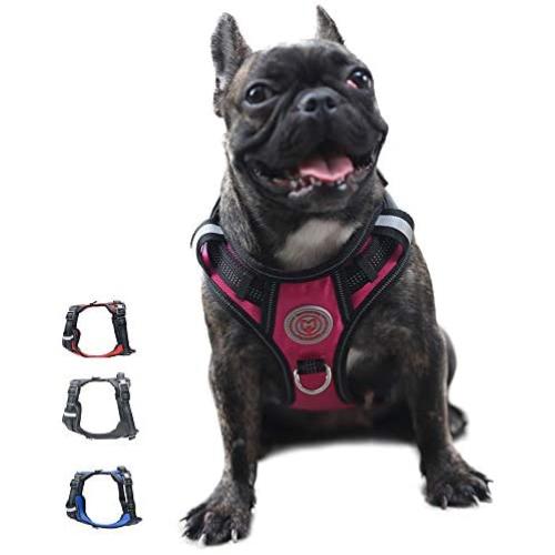 FOSSMAO No Pull Dog Harness Adjustable Reflective Oxford Easy Control Medium Large Dog Harness with A Free Dog pet Collar Lights