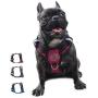 FOSSMAO No Pull Dog Harness Adjustable Reflective Oxford Easy Control Medium Large Dog Harness with A Free Dog pet Collar Lights