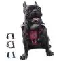FOSSMAO No Pull Dog Harness Adjustable Reflective Oxford Easy Control Medium Large Dog Harness with A Free Dog pet Collar Lights FOSSMAO No Pull Dog Harness Adjustable Reflective Oxford Easy Control Medium Large Dog Harness with A Free Dog pet Collar Lights