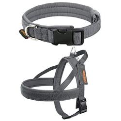 XS Size Puppy Dog Collar Nylon Adjustable No Pull Dog Harness Small Dog Harness with Padded