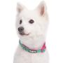 Blueberry Pet 10 Patterns Zoo Fun Dog Collars