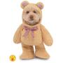 Walking Teddy Bear Pet Suit
