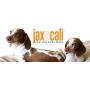 JAX & CALI All Natural Pet Toothbrush Wipes & Extra Large Paw and Body Wipes
