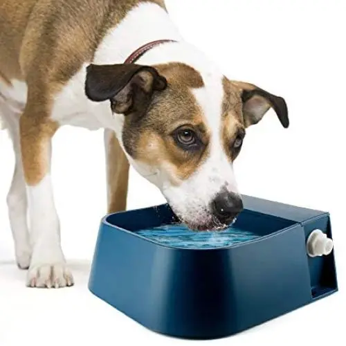 Namsan Automatic Dog Water Bowl Dog Waterer with Float Valve Automatic Water Bowl for Dogs, Cats, Chickens, Ducks Namsan Automatic Dog Water Bowl Dog Waterer with Float Valve Automatic Water Bowl for Dogs, Cats, Chickens, Ducks