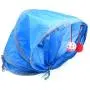 Alfie Pet - Kaine 2-Way Collapsible Cat Tunnel and 16-Piece Set Cat Toys