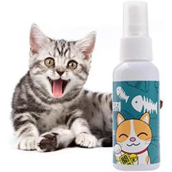 avbxcuecc 50ml Cat Catnip Spray Pet Training Toy Natural Healthy Catmint Funny Scratch Toy Supplies