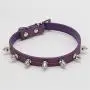 Chenyouwen Pet Toys Great Cat Dog Rivet Collar Pet Accessory Collar, Size: L(Purple) (Color : Purple) Chenyouwen Pet Toys Great Cat Dog Rivet Collar Pet Accessory Collar, Size: L(Purple) (Color : Purple)