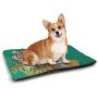 DayDayFun Safari Cat Mat Antelope Crowd on Grassland at Sunset Tropic Exotic Savannahs Animals Pet Mats for Litter Boxes Golden Red Brown