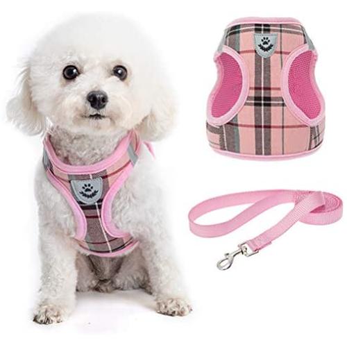 Soft Mesh Plaid Puppy Harness - Small Dog Harness and Leash Set, Adjustable & Comfortable Padded Reflective Vest for Puppies and Small Breeds Dogs Walking