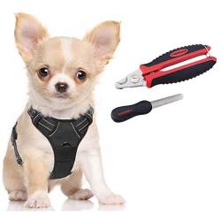 rabbitgoo Dog Harness & Dog Nail Clippers with File Set - Adjustable No Pull Dog Vest with Leash Clips(S) | Safety Pet Nail Trimmer Cat Claw Grooming Tool Painless Paw Scissors(Black Red)