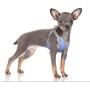 Dog Harness Soft Mesh Padded Adjustable Puppy Vest -No More Pulling,Tugging or Choking