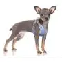 Dog Harness Soft Mesh Padded Adjustable Puppy Vest -No More Pulling,Tugging or Choking Dog Harness Soft Mesh Padded Adjustable Puppy Vest -No More Pulling,Tugging or Choking