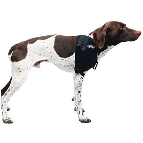 Caldera International Caldera Pet Therapy Shoulder Wrap with Gel, Medium, Black (PET201) Caldera International Caldera Pet Therapy Shoulder Wrap with Gel, Medium, Black (PET201)