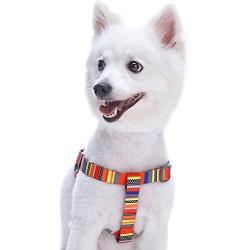 Blueberry Pet Essentials Step-in Nautical Flags Inspired Designer Dog Harness