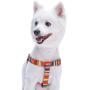 Blueberry Pet Essentials Step-in Nautical Flags Inspired Designer Dog Harness