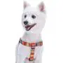 Blueberry Pet Essentials Step-in Nautical Flags Inspired Designer Dog Harness