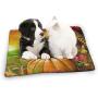 Small Dog Bed Puppy Pads Happy Thanksgiving Cornucopia With Pumpkin Fruit Dog Cat Bed Mat Washable Durable Pet Mattress For Dogs Cats Kitten Puppies Sleeping Cages Kennel Indoor Outdoor Indestructible