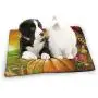 Small Dog Bed Puppy Pads Happy Thanksgiving Cornucopia With Pumpkin Fruit Dog Cat Bed Mat Washable Durable Pet Mattress For Dogs Cats Kitten Puppies Sleeping Cages Kennel Indoor Outdoor Indestructible Small Dog Bed Puppy Pads Happy Thanksgiving Cornucopia With Pumpkin Fruit Dog Cat Bed Mat Washable Durable Pet Mattress For Dogs Cats Kitten Puppies Sleeping Cages Kennel Indoor Outdoor Indestructible