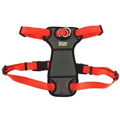 Coastal - Walk Right - Front-Connect Padded Dog Harness, Red, SML (16''-24'')