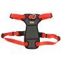 Coastal - Walk Right - Front-Connect Padded Dog Harness, Red, SML (16''-24'')