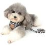SMALLLEE_Lucky_Store New Soft Mesh Nylon Vest Pet Cat Small Medium Dog Harness Dog Leash Set