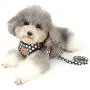 SMALLLEE_Lucky_Store New Soft Mesh Nylon Vest Pet Cat Small Medium Dog Harness Dog Leash Set SMALLLEE_Lucky_Store New Soft Mesh Nylon Vest Pet Cat Small Medium Dog Harness Dog Leash Set