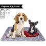Washable Reusable Pee Pads for Dogs | L (24'' x 36'') 2-Pack Bones | 100% Waterproof & Extra Absorbent | Large Non-Slip Puppy Pads | Pet Training & Housebreaking | Incontinence & Whelping Solution