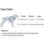 Meeyou Adjustable Soft Mesh Cat Harness with Leash