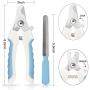 COMBOMTEK Dog Grooming Glove for Dogs and Cats, Pet Hair Remover for Dogs and Cats, Cat Shedding Brush with 259 Tips, Efficient Shedding Glove, Massage Mitt, Perfect for Dogs, Cats…