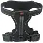 Stella-Lou No Pull Reflective no Choke Humane Dog Training Harness Heavy Duty Easy on/Off Adjustable Two Attachment Rings Small, Medium, Large, Extra Large Stella-Lou No Pull Reflective no Choke Humane Dog Training Harness Heavy Duty Easy on/Off Adjustable Two Attachment Rings Small, Medium, Large, Extra Large