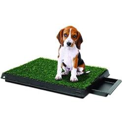 Synturfmats Indoor Pet Potty Patch Puppy Pee Training Pad, Deluxe 3 Pieces Dog Relief System with Drawer, Green, Medium with Drawer 20''x25''x2''