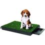 Synturfmats Indoor Pet Potty Patch Puppy Pee Training Pad, Deluxe 3 Pieces Dog Relief System with Drawer, Green, Medium with Drawer 20''x25''x2''