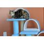 Classic Cat Tree B3803