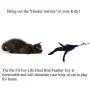 Pet Fit For Life Feather Teaser and Exerciser for Cat and Kitten - Cat Toy Interactive Cat Wand Pet Fit For Life Feather Teaser and Exerciser for Cat and Kitten - Cat Toy Interactive Cat Wand