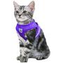 FEimaX Dog Harness and Leash Set, No Pull Reflective Adjustable Pet Vest Harnesses for Puppy Kitten, Soft Mesh Chest Harness for Small Medium Dogs and Cats - Easy Control for Outdoor Walking