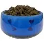 6” Glass Dog Bowl with Engraved Hearts and Dog Bones On The Side - Anti Slip Material Base for Sturdy Protection from Some of The Strongest Dogs - Food and Water Dish with Easy Clean Feature 6” Glass Dog Bowl with Engraved Hearts and Dog Bones On The Side - Anti Slip Material Base for Sturdy Protection from Some of The Strongest Dogs - Food and Water Dish with Easy Clean Feature