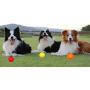 Kei Tomlison Rubber Dog Chewing Squeaky Ball Toys Fetch Play Toy for Puppy Small Medium Pets Dog Cat Pack of 3