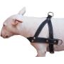 Genuine Black Leather Dog Pulling Walking Harness Medium to Large. 25.5''-31'' Chest, 1.5'' Straps