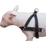 Genuine Black Leather Dog Pulling Walking Harness Medium to Large. 25.5''-31'' Chest, 1.5'' Straps Genuine Black Leather Dog Pulling Walking Harness Medium to Large. 25.5''-31'' Chest, 1.5'' Straps