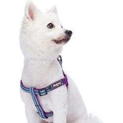 Blueberry Pet 5 Colors Step-in 3M Reflective Multi-Colored Stripe Padded Dog Harnesses