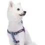 Blueberry Pet 5 Colors Step-in 3M Reflective Multi-Colored Stripe Padded Dog Harnesses Blueberry Pet 5 Colors Step-in 3M Reflective Multi-Colored Stripe Padded Dog Harnesses