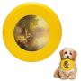 Pet Frisbee Flying Disc Dog Toy - Multifunction Beside Still Waters Greg Olsen