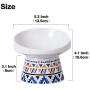 LIONWEI LIONWELI Ceramic Tilted Elevated Cat Dog Bowl Raised Cat Food Water Bowl Dish no Spill Pet Comfort Feeding Bowls with Mat