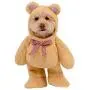 Walking Teddy Bear Pet Suit Walking Teddy Bear Pet Suit