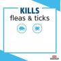 Hartz UltraGuard Plus Flea & Tick Shampoo for Dogs with Soothing Aloe