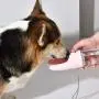 DOGNESS Dog Water Bottle, Fashion Antibacterial Food Grade Leak Proof Portable Dog Cat Travel Water Cup with Bowl Dispenser, Pets Outdoor Drinking Bottle, 10oz/300ml DOGNESS Dog Water Bottle, Fashion Antibacterial Food Grade Leak Proof Portable Dog Cat Travel Water Cup with Bowl Dispenser, Pets Outdoor Drinking Bottle, 10oz/300ml