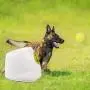 The Silk Road Pet Automatic Ball Launcher Dog Interactive Fetch Toy DogTennis Ball Throwing Machine Tennis Ball Thrower 3PCS 2.5'' Tennis Balls Included -Large