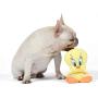 Warner Brothers Looney Tunes Tweety Big Head Plush Dog Toy, Stuffed Animal