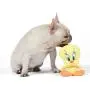 Warner Brothers Looney Tunes Tweety Big Head Plush Dog Toy, Stuffed Animal Warner Brothers Looney Tunes Tweety Big Head Plush Dog Toy, Stuffed Animal
