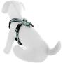 Pawtitas Pet Training Soft Adjustable Reflective Oxford Padded Puppy/Dog Harness, Step in or Vest Harness, Comfort Control, Training Walking - No More Pulling, Tugging, Choking, Prevent Pulling